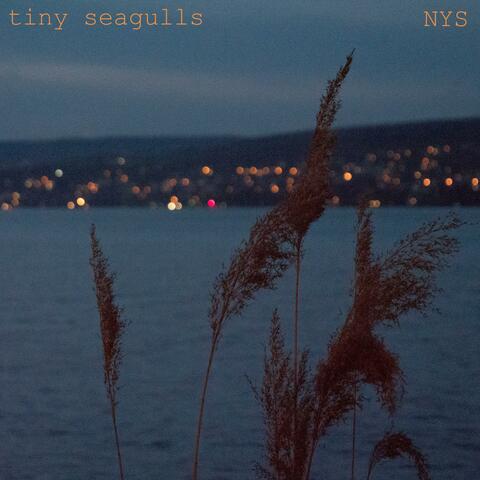 NYS