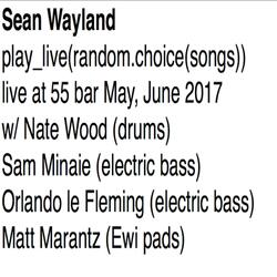 Arc is Enough ( at 55 bar 2017 Wood Minaie) (feat. Nate Wood & Sam Minaie)