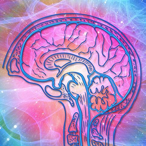 Kinetic