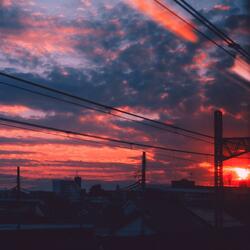 feelings