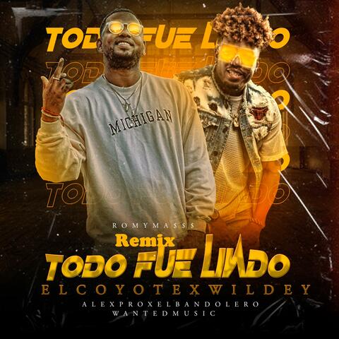 Todo Fue Lindo (feat. Wildey) [Remix]