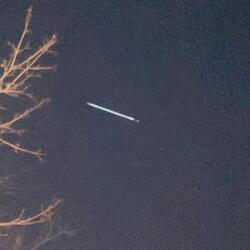 Do you really love me