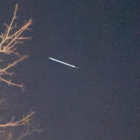 Do you really love me