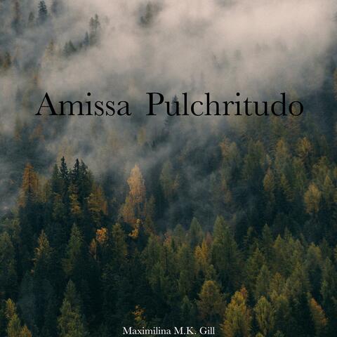 Amissa Pulchritudo