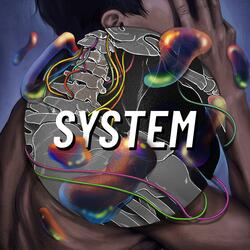 System