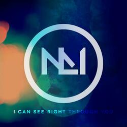 I Can See Right Through You