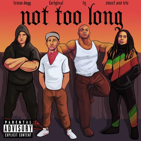 Not Too Long (feat. TY, Temm Dogg & Sweet & Irie)