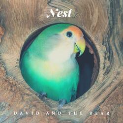 Nest