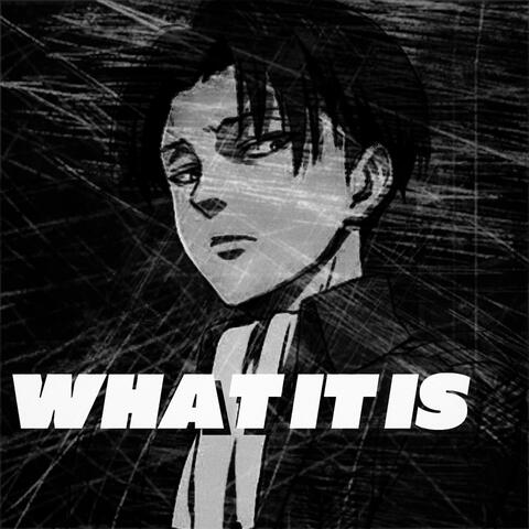 What It Is (Levi Rap) (feat. Gr3ys0n)