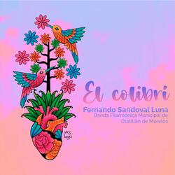 EL COLIBRÍ