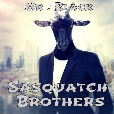 Mr . Black
