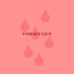 Inheritance