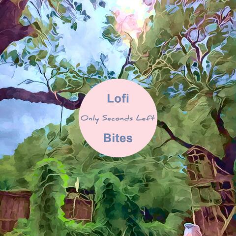 Lofi Bites