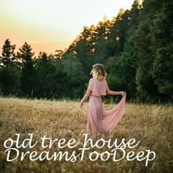 Old Tree House