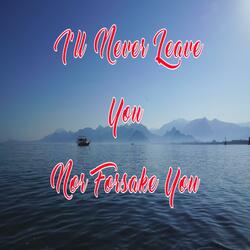 I'll Never Leave You Nor Forsake You