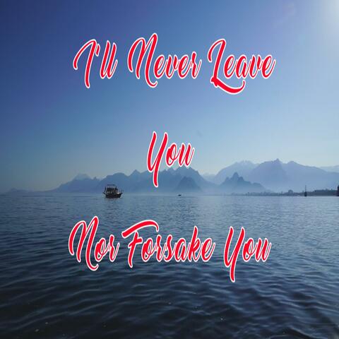I'll Never Leave You Nor Forsake You