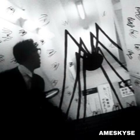 AMESKYSE