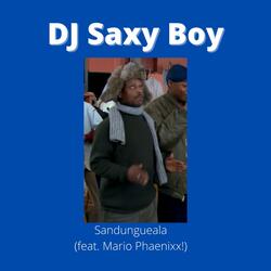 Sandungueala (feat. Mario Phaenixx!)