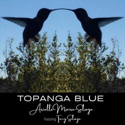 Topanga Blue (feat. Tony Selvage)