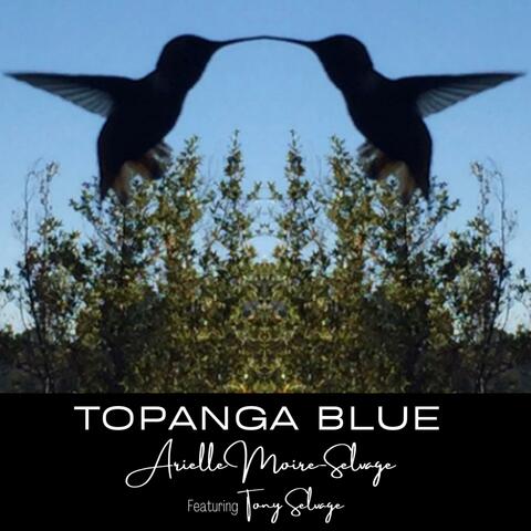 Topanga Blue (feat. Tony Selvage)