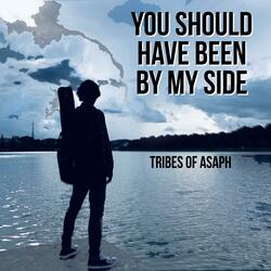 You Should Have Been By My Side