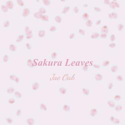 Sakura Leaves