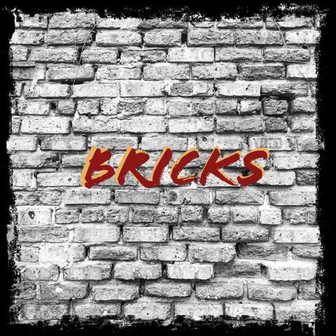 BRICKS