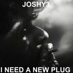 I Need A New Plug