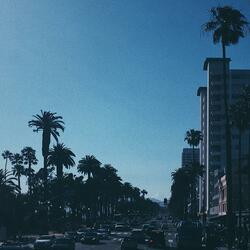 Ocean Ave