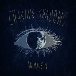 CHASING SHADOWS