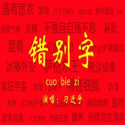 错别字