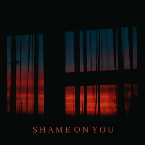 Shame On You (feat. Bingx)