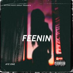 Feenin