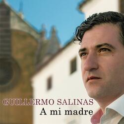 Zahara (alegrías) (feat. Sara Corea, Luis Dorado, Curro Sendra, El Cabra & El Tolo)