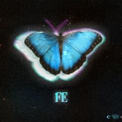 Fe