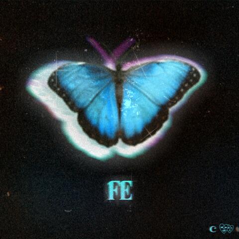 Fe