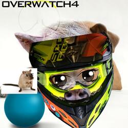 Hog and ball torture