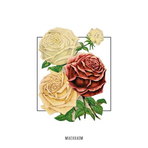 Otherside