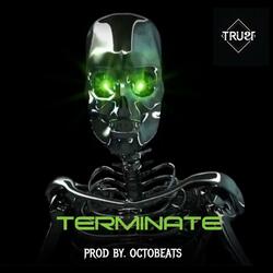 TERMINATE