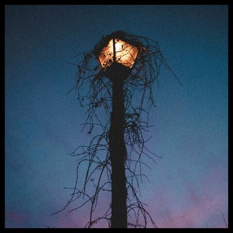 The Oldlight