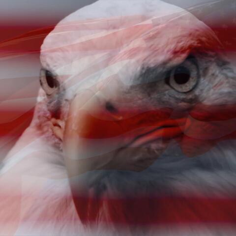Welcome to the Great Awakening (2022 edited remix)