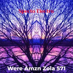 Were Amzn Zola 571