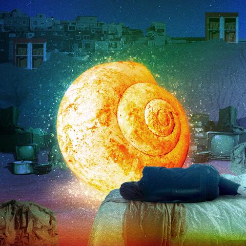 The Snail Bride