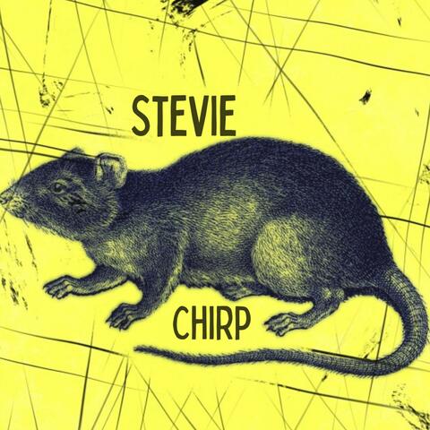 Stevie