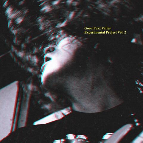 Goon Fuzz Valley Experimental Project, Vol. 2