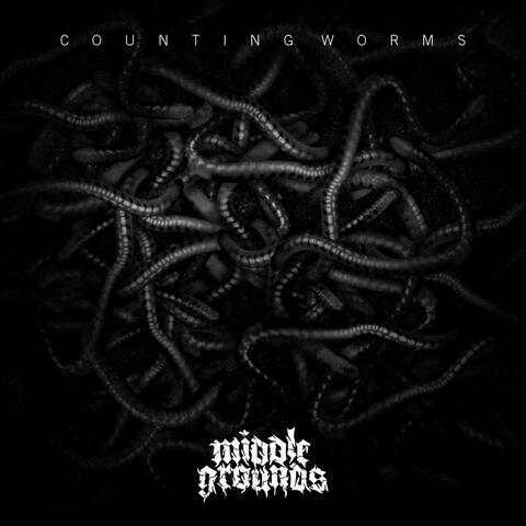 Counting Worms