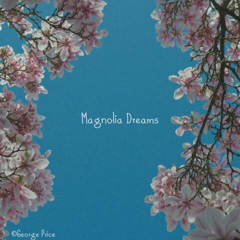 Magnolia Dreams