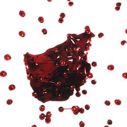 POLYMORF GHOST (feat. Josef K.)