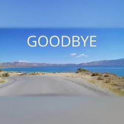 Goodbye (feat. Whitenoise)