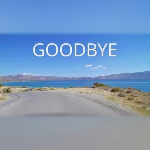 Goodbye (feat. Whitenoise)